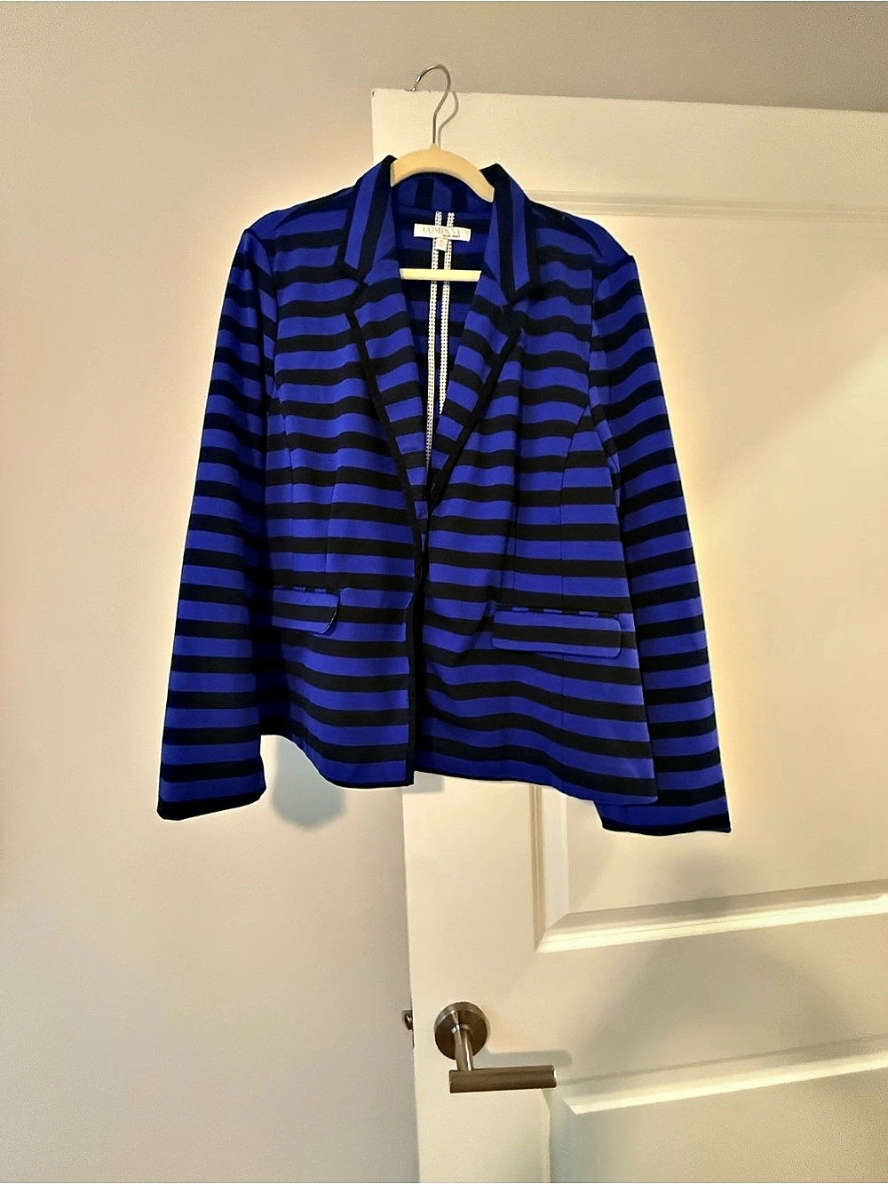 Ellen Tracy Striped Blazer in Blue & Black Size XL Like New